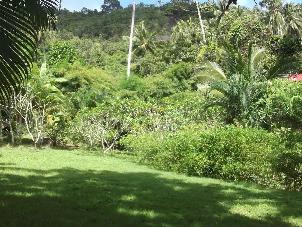 Wilai Villa Lamai Maret Room photo